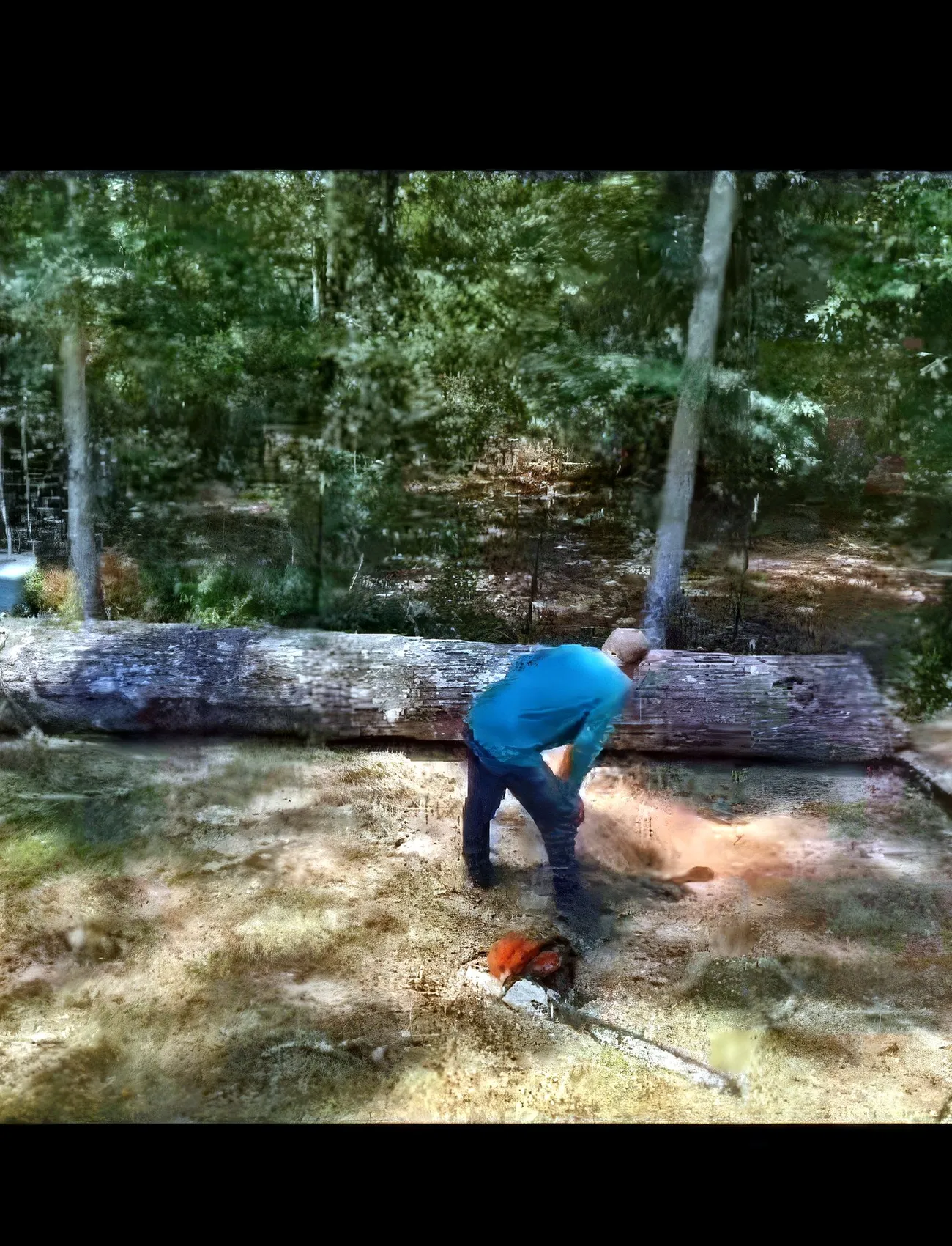 Firewood in Houston, TX