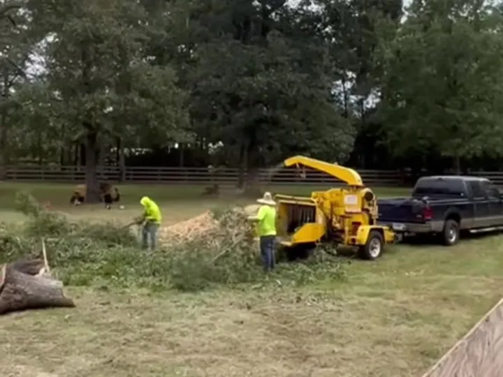 Brush fed through the chipper on site